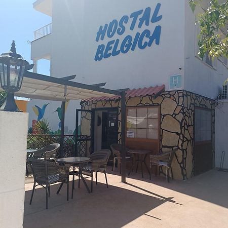 Hostal Belgica Palmanova Exterior foto