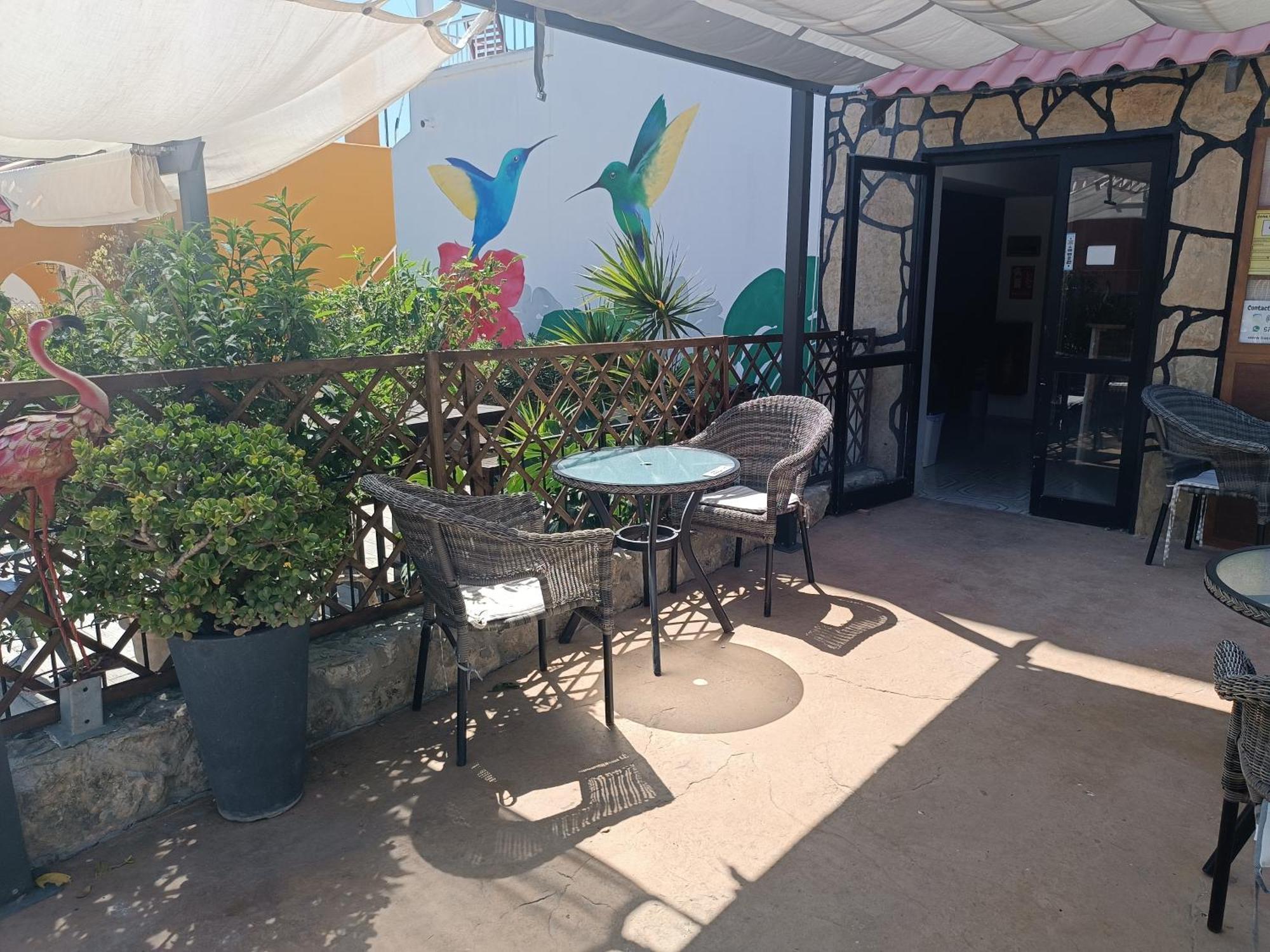 Hostal Belgica Palmanova Exterior foto